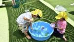 暑い日は園庭で水遊び色水や感触遊びを行います。夏の遊びを楽しみます
