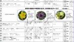施設の写真