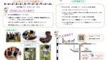施設の写真